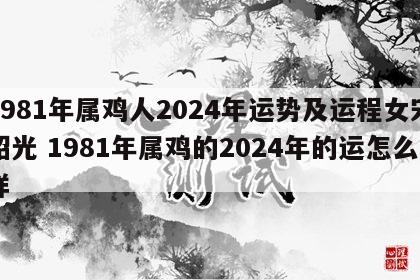 1981年属鸡人2024年运势及运程女宋韶光 1981年属鸡的2024年的运怎么样