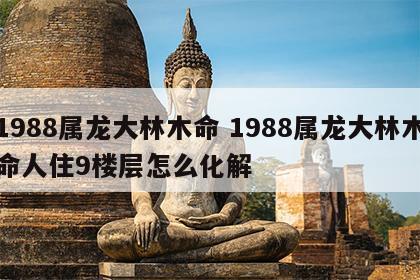 1988属龙大林木命 1988属龙大林木命人住9楼层怎么化解