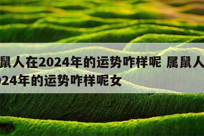 属鼠人在2024年的运势咋样呢 属鼠人在2024年的运势咋样呢女
