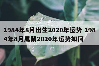 1984年8月出生2020年运势 1984年8月属鼠2020年运势如何