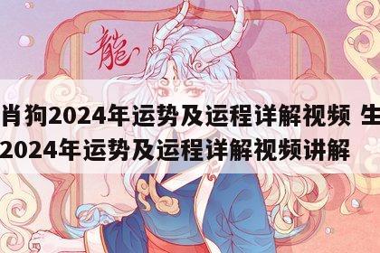 生肖狗2024年运势及运程详解视频 生肖狗2024年运势及运程详解视频讲解