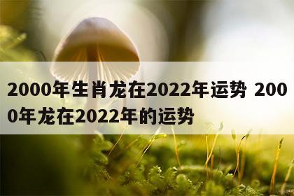 2000年生肖龙在2022年运势 2000年龙在2022年的运势