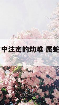 77年属蛇命中注定的劫难 属蛇人一生最克3个人