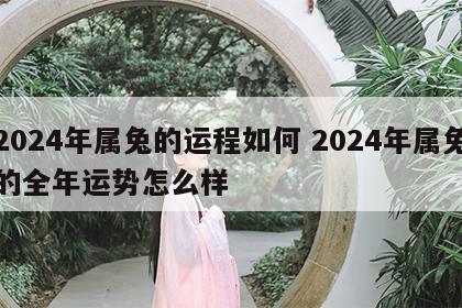 2024年属兔的运程如何 2024年属兔的全年运势怎么样