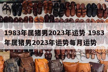 1983年属猪男2023年运势 1983年属猪男2023年运势每月运势