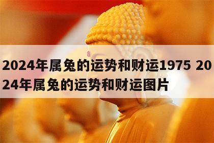 2024年属兔的运势和财运1975 2024年属兔的运势和财运图片
