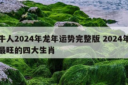 牛人2024年龙年运势完整版 2024年最旺的四大生肖