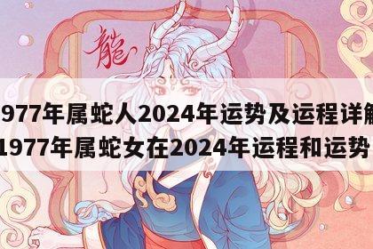 1977年属蛇人2024年运势及运程详解 1977年属蛇女在2024年运程和运势