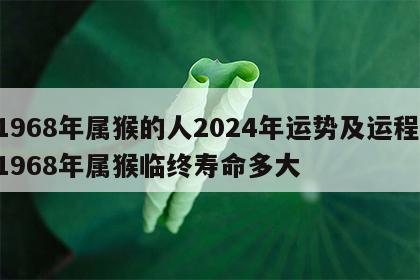 1968年属猴的人2024年运势及运程 1968年属猴临终寿命多大
