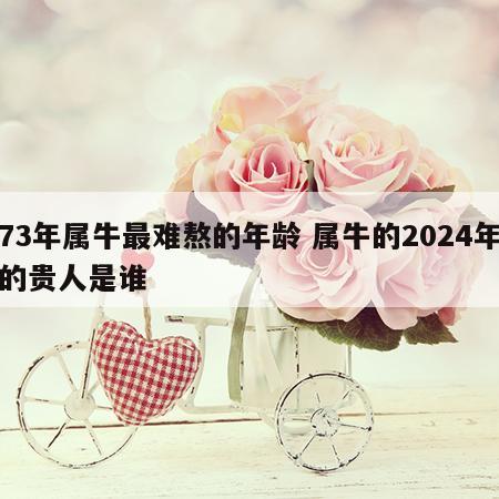 73年属牛最难熬的年龄 属牛的2024年的贵人是谁