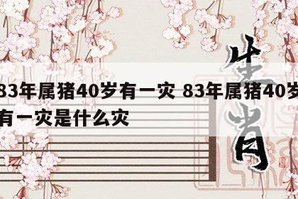 83年属猪40岁有一灾 83年属猪40岁有一灾是什么灾