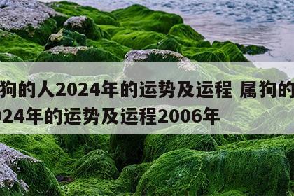 属狗的人2024年的运势及运程 属狗的人2024年的运势及运程2006年