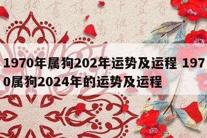 1970年属狗202年运势及运程 1970属狗2024年的运势及运程