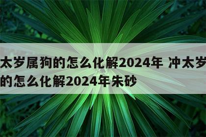 冲太岁属狗的怎么化解2024年 冲太岁属狗的怎么化解2024年朱砂