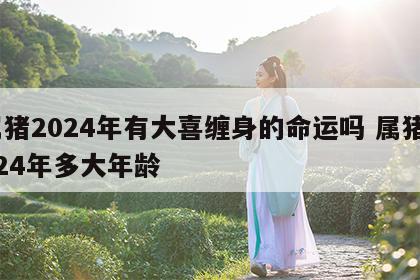 属猪2024年有大喜缠身的命运吗 属猪2024年多大年龄