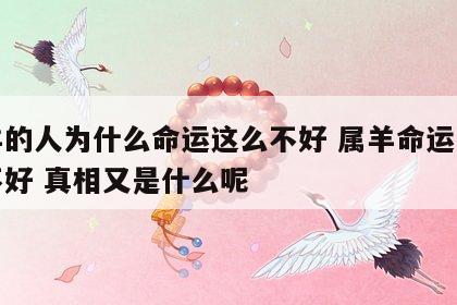 属羊的人为什么命运这么不好 属羊命运为什么不好 真相又是什么呢