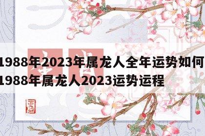 1988年2023年属龙人全年运势如何 1988年属龙人2023运势运程