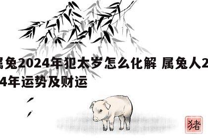 属兔2024年犯太岁怎么化解 属兔人2024年运势及财运