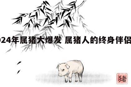 2024年属猪大爆发 属猪人的终身伴侣是谁
