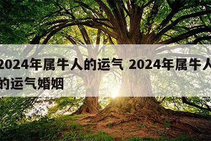2024年属牛人的运气 2024年属牛人的运气婚姻
