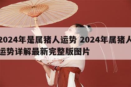 2024年是属猪人运势 2024年属猪人运势详解最新完整版图片
