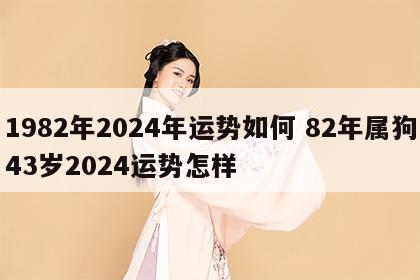 1982年2024年运势如何 82年属狗43岁2024运势怎样