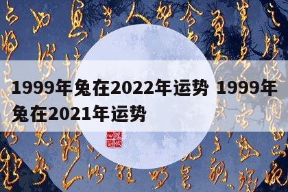 1999年兔在2022年运势 1999年兔在2021年运势