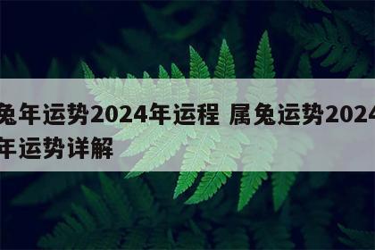 兔年运势2024年运程 属兔运势2024年运势详解