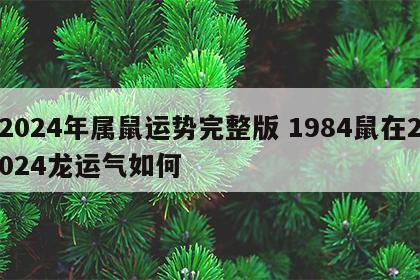 2024年属鼠运势完整版 1984鼠在2024龙运气如何
