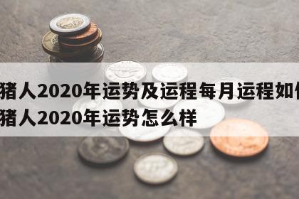 属猪人2020年运势及运程每月运程如何 属猪人2020年运势怎么样