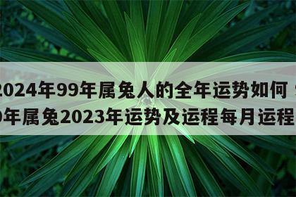 2024年99年属兔人的全年运势如何 99年属兔2023年运势及运程每月运程