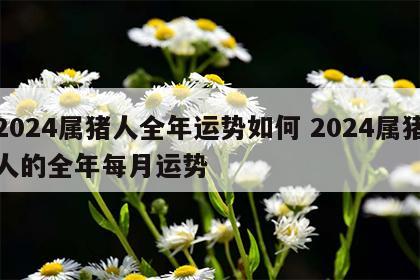 2024属猪人全年运势如何 2024属猪人的全年每月运势