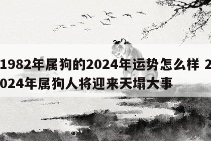 1982年属狗的2024年运势怎么样 2024年属狗人将迎来天塌大事