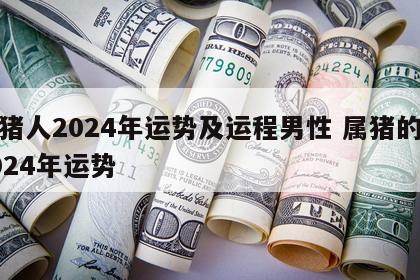 属猪人2024年运势及运程男性 属猪的人2024年运势