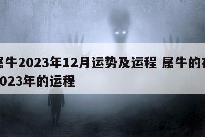属牛2023年12月运势及运程 属牛的在2023年的运程