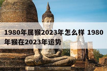 1980年属猴2023年怎么样 1980年猴在2023年运势