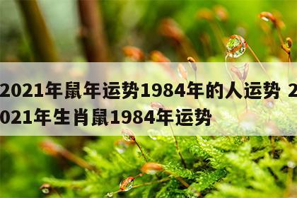 2021年鼠年运势1984年的人运势 2021年生肖鼠1984年运势