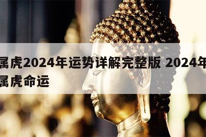 属虎2024年运势详解完整版 2024年属虎命运
