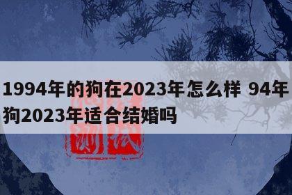 1994年的狗在2023年怎么样 94年狗2023年适合结婚吗