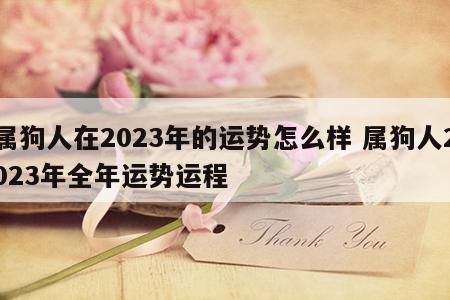 属狗人在2023年的运势怎么样 属狗人2023年全年运势运程