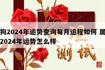 属狗2024年运势查询每月运程如何 属狗的2024年运势怎么样