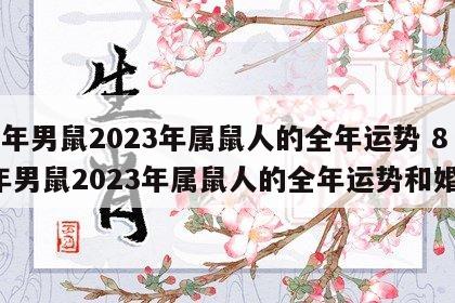 84年男鼠2023年属鼠人的全年运势 84年男鼠2023年属鼠人的全年运势和婚姻