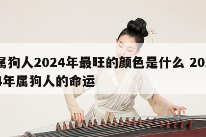属狗人2024年最旺的颜色是什么 2024年属狗人的命运