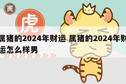 属猪的2024年财运 属猪的2024年财运怎么样男
