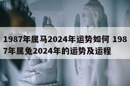 1987年属马2024年运势如何 1987年属兔2024年的运势及运程