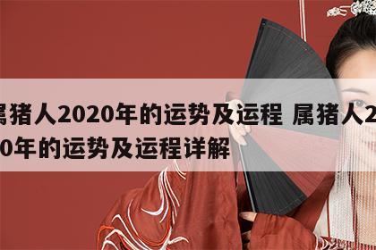 属猪人2020年的运势及运程 属猪人2020年的运势及运程详解