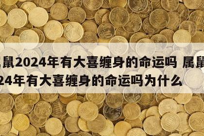 属鼠2024年有大喜缠身的命运吗 属鼠2024年有大喜缠身的命运吗为什么