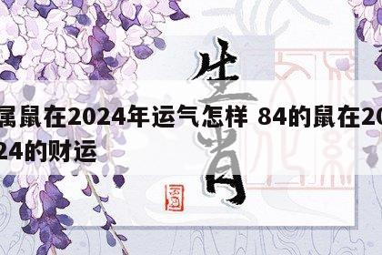 属鼠在2024年运气怎样 84的鼠在2024的财运