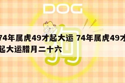74年属虎49才起大运 74年属虎49才起大运腊月二十六