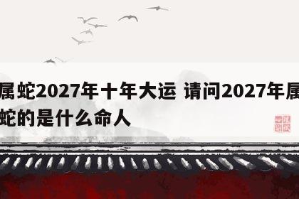 属蛇2027年十年大运 请问2027年属蛇的是什么命人